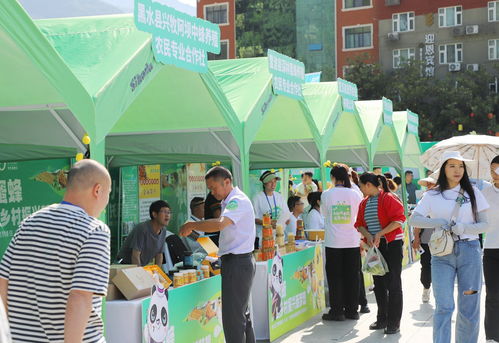 共話 甜蜜 事業(yè) 第八屆 世界蜜蜂日 5 20 主題活動(dòng)在綿陽平武舉行