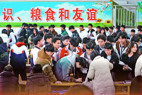 達州市2024年高職單招宣傳現(xiàn)場咨詢活動圓滿舉行