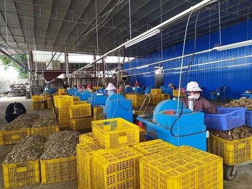 防疫復(fù)工兩不誤 廣西南寧巾幗顯擔(dān)當(dāng)