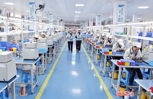 康樂(lè)東西協(xié)作鄉(xiāng)村就業(yè)工廠節(jié)后復(fù)工生產(chǎn)忙，職業(yè)中介活動(dòng)助力就業(yè)